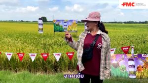 อาคาเดีย FMC (สารนาติโว เอเทียจ +สารออติวา) (ขนาด 500 มล.) (1 ขวด ฉีดได้ 10 ไร่)หมดห่วงเรื่องเมล็ดด่าง ข้าวเมล็ดสวยใส เต็มรวง ไร้ความชื้น