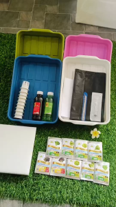 icon video play icon arrow left boldicon arrow right bold แชร์: 0 ชุดปลูกผัก ชุดทดลองปลูกผัก ชุดปลูกผักไฮโดรโปนิกส์ ชุดปลูกผักสลัด ครบชุดที่เดียว ใช้ถาดฟนเเบบใหม่สีสรรคละสี