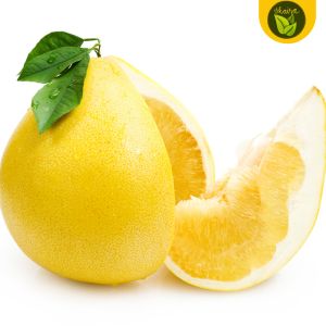 Binhi Pantanim Suha Pomelo 5 Seeds for Planting