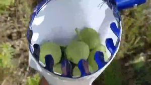 16CM Fruit Picker Head Basket Fruits Catcher Convenient Garden Tools Farm Labor-Saving Fruit Picking Tools