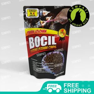 Pakan Burung Sempati & Murai Batu: Bocil Oriq Jaya