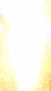 OKAIDO Sandal Slip On Flatshoes Wanita Cewek Perempuan Bahan Jelly Gaya Fashion Korea Style Kekinian