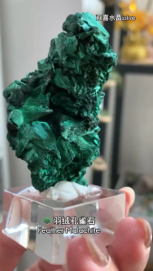 🌿 羽绒孔雀石 · 生命力之石 送底座 Feather Malachite · Stone of Vital Energy free base