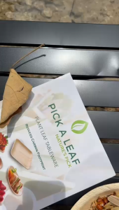 Pick A Leaf Eco-Friendly Areca Palm Disposable Plates 750ml - Square EcoPalm Plates 10-Pack by Pick ALeaf - Biodegradable Party & Buffet Supplies
