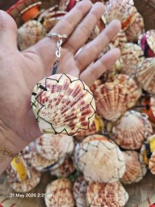 Seashell Keychain (random color) - Natural shell design - Metallic chain - Handheld size - Decorative accessory - Beach-themed item
