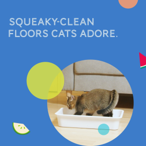 Daily Delight Happea Natural Pea Fiber Cat Litter 8L - Dust-Free Absorbent Easy-Clean Pet Sanitary