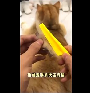 Pet Hair Grooming Comb For Dog Cat Flea Comb Stainless Steel Needle Fur Comb Dog Comb Brush