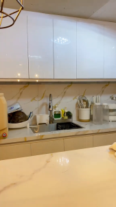Pull Down Plate Rack Elegant Kitchen Organizer Pull Down / Pull Out Dish Rack Size 500mm Cabinet Pull Down Pantry Basket Size 500mm Cabinet