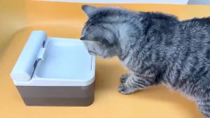 EBBSTORE USB Wireless Pet Water Fountain 4L Automatic Ceramic Cat Feeder with Filter for Cats and Dogs