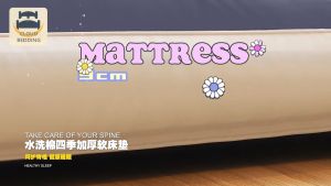 Tatami Mattress Protector Mattress Topper Foldable Tilam Single/Double/Queen/King Size Thick Mattress