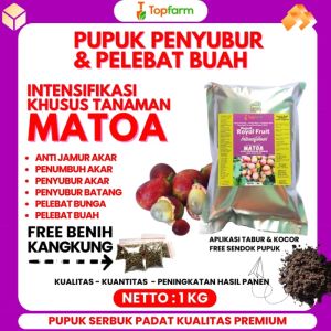 Pupuk Pelebat Buah Matoa / Pupuk Booster Buah Matoa / Pupuk Topfarm Pelebat Buah Matoa / Pupuk Buah Matoa / Pupuk Organik Buah Matoa