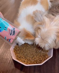 ผงโรย รสจระเข้ ผลิตจากเนื้อจระเข้ โปรตีนสูง ใช้โรยอาหารเม็ดและบาร์ฟ BARF ผลิตสดใหม่ 100% ราคาถูกต้อง