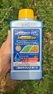[VTNN TIEN KHOA] Trừ Cỏ Mần Trầu Thài Lài Cỏ Chỉ Và Các Loại Cỏ Khác - KENBAST 15SL Hiệu KHAI HOANG Q10 900ml