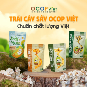 Combo Xoài Sấy (Muối Ớt Và Sấy Dẻo) Ocop Việt – Tươi ngon tự nhiên – Không Chất Bảo Quản – Túi 200g - 500g