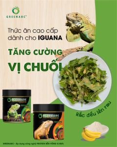 Thức ăn bò sát Iguana Baby GREENABC vị chuối dùng cho Iguana từ mới nở cho đến giúp tăng kích thước lên màu đẹp phòng chống MBD teo đuôi – Hộp 230g