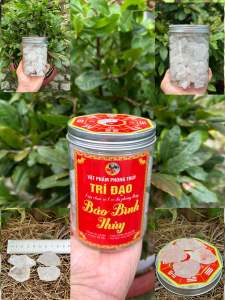 1kg Thạch anh Bảo bình thuỷ trắng 100% tự nhiên giải trừ âm khí uế khí mang lại may mắn bình an.