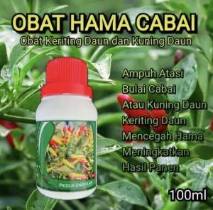 Obat Semprot Daun Cabe Keriting Bule Dan Kuning Bulai Cabai Rawit Basah Kering Penyubur Batang Akar Ranting Fungisida Kutu Putih Ulat Lalat Pupuk Cair Organik Terbaik Ampuh Anti Rontok Patek Hama Jamur Wereng