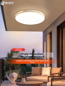 PAIMIJI | Outdoor Waterproof and Pest-Proof Ceiling Light