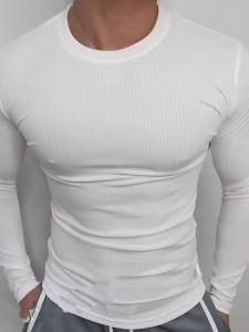 Textured Ice Silk Long Sleeve T-Shirt Mens Fitness Training Running Sport Cool Thin Moisture Wicking Youth Trendy Base Shirt
