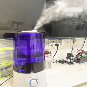 Crab Shell Humidifier Large Capacity Office Desktop Ultrasonic Cool Room Plant Animal Reptile Silent Spray Mist Air Conditioner