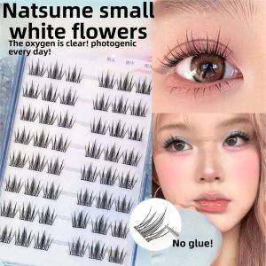 Glue-Free Pure Desire Small White Flower Fake Eyelashes! Moms Nature Photogenic Clear Daily Light Face Artificial Segmented Trilogy