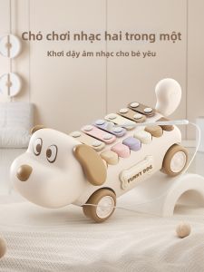 WANWEIMAN | Đàn Xylophone Giáo Dục Phát Triển Trí Tuệ cho Giáo Dục Sớm