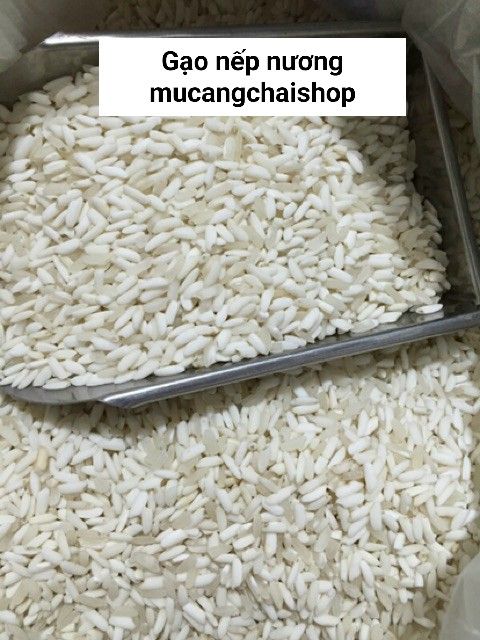 G%E1%BA%A1o%20n%E1%BA%BFp%20n%C6%B0%C6%A1ng%20%C4%90i%E1%BB%87n%20Bi%C3%AAn%20chu%E1%BA%A9n%20g%E1%BA%A1o%20ng%C6%B0%E1%BB%9Di%20M%C3%B4ng%20t%C3%BAi%20500g%20-%20Image%206