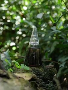 CHUNFENGSHILI | Lasting Woody Perfume