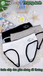Quần Chíp Bé Gái Cotton Cao Cấp Hoạ Tiết Gấu Ngủ Đáng Yêu Đáy Thấm Hút Tốt Size 25-62KG Quần Cute CTB07