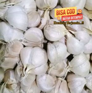 Kating Bawang Putih 1Kg Bawang Putih Kating Kemasan Pilihan