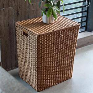 DANBIYIN | Covered Dirty Clothes Storage Basket