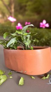 Chậu Treo Ốp Tường Gốm Đất Nung Hình Chữ Nhật Tròn - Gốm Sứ Sân Vườn - GSSV