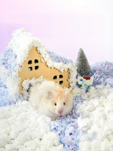 TIYES | Winter Warm Odor-Reducing Paper Cotton Bedding For Hamsters