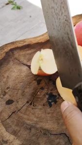 ตรงปกส่งไวคมมากE81 ปังตอญี่ปุ่น มีดญี่ปุ่น มีดหั่นเนื้อ มีดหั่นผัก 28ซม.