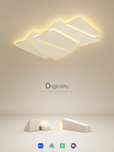 Creative Minimalist Geometric LED Ceiling Light