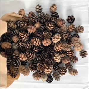 Bộ 10 trái thông khô tự nhiên - phụ kiện decor Giáng Sinh handmade DIY