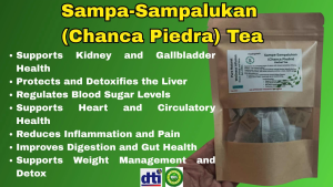 SAMPA-SAMPALUKAN (CHANCA PIEDRA) Tea 100% ALL NATURAL/ NO PRESERVATIVES (10/15/20 TEA BAGS)