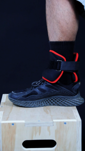 Elite Ankle Weights