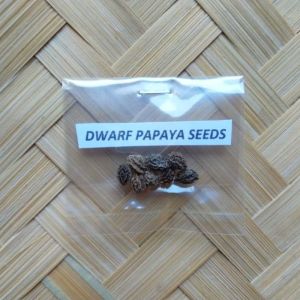 Dwarf Papaya 10 Seeds Per Pack Fruit Seeds