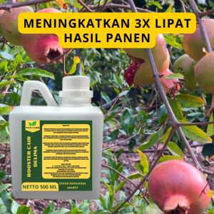 Pupuk Pelebat Delima / Pupuk Buah Delima / Pupuk Booster Delima / Pupuk Delima