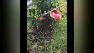 กระปุก เอ็นตัดหญ้า หัวกระแทก อลูมิเนียม ปล่อยสาย ยอดแอลกับ รุ่นใหม่ ดีไซน์ สวย สีส้ม