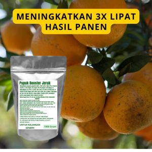 Pupuk Booster Jeruk Pelebat Organik Cepat Berbuah Lebat Besar Anti Rontok Pembesar Jeruk