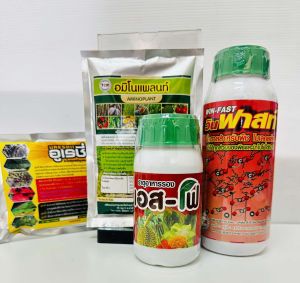 ชุดยาผีหลอกโหรพาใบสวยแก้โรคราน้ำค้าง ขนาดเล็กผสมน้ำได้500ลิตร ช่วยเร่งราก แตกยอดไวกว่าปกติ ก้านใหญ่ใบหนา เขียวเข้ม ตัดได้เร็วขึ้น รักษาโรค ราเขม่าดำ ราใบจุด ใบไหม้ ใช้ฉีดพ่นใต้ใบและทั่วทั้งต้นทุกๆ5-7วัน