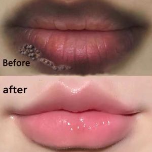 Lip Sleeping Mask Berry Lip Balm Scrub Bibir Hitam Jadi Pink Lightening Lip Line with Brush Moisturizing Lip Mask 20g