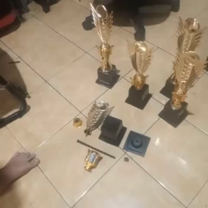 Piala Lomba no21 juara 12345 BEBAS DESIGN  "costum" (bisa satuan) Trophy Lengkap Stiker BEBAS DESIGN