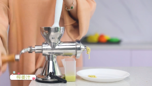 304 Stainless Steel Wheatgrass Household Manual Juicer Fruit and Vegetable Celery Wheat Seedling Ginger Pomegranate Special Pressure