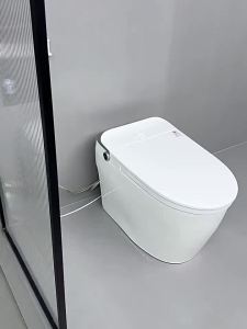 TEM | Smart Pressure-less Automatic Toilet