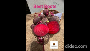 ❤️ Beet Root – Fresh from Cameron Highlands