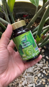 Viên uống hỗ trợ thận và bàng quang Kidney Bladder 465 mg hộp 100 viên của Natures Way - iHerb Việt Nam