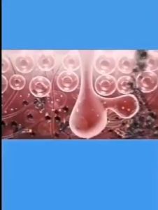 Acne body wash ubat jerawat badan Whitening sabun hilangkan badan Whitening Anti-acne Shower Gel men women Remove chicken skin mites back acne moisturizing body wash for sensitive skin